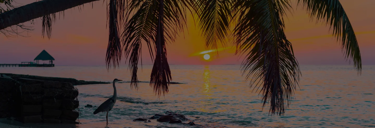 Indonesia Liveaboard